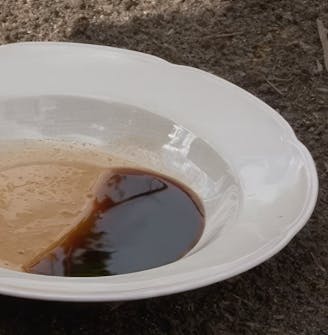 Skydda träd från rådjur och harar Skydda träd från rådjur och harar